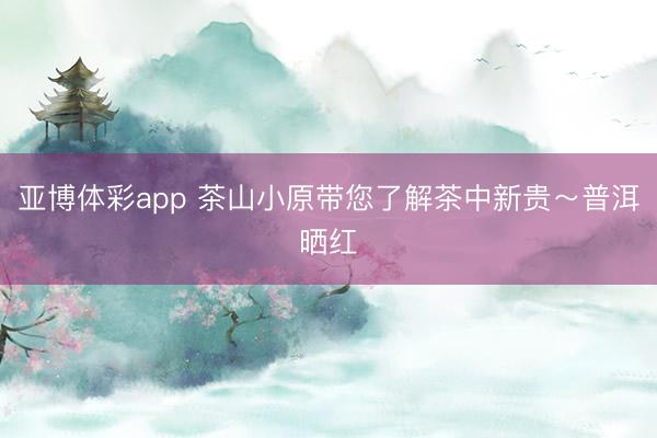 亚博体彩app 茶山小原带您了解茶中新贵~普洱晒红