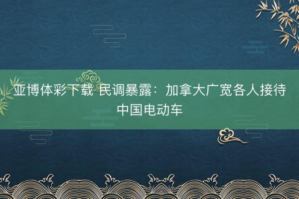 亚博体彩下载 民调暴露:加拿大广宽各人接待中国电动车