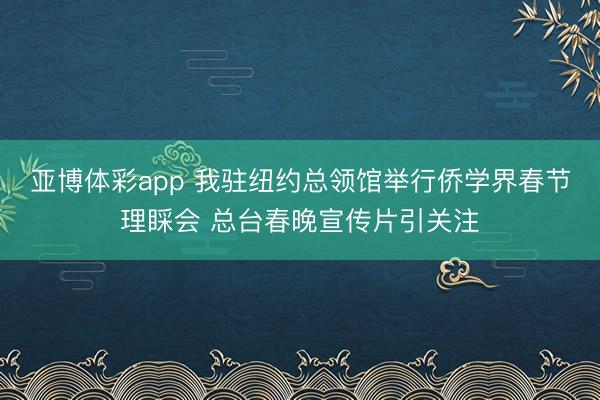 亚博体彩app 我驻纽约总领馆举行侨学界春节理睬会 总台春晚宣传片引关注
