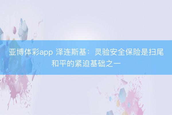 亚博体彩app 泽连斯基：灵验安全保险是扫尾和平的紧迫基础之一