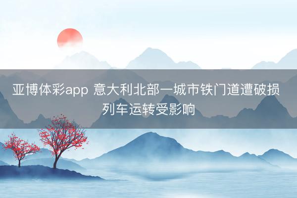 亚博体彩app 意大利北部一城市铁门道遭破损 列车运转受影响