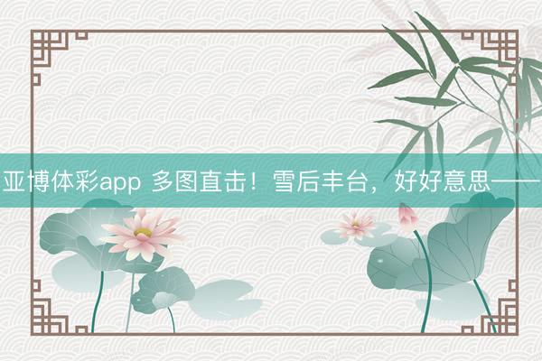 亚博体彩app 多图直击！雪后丰台，好好意思——
