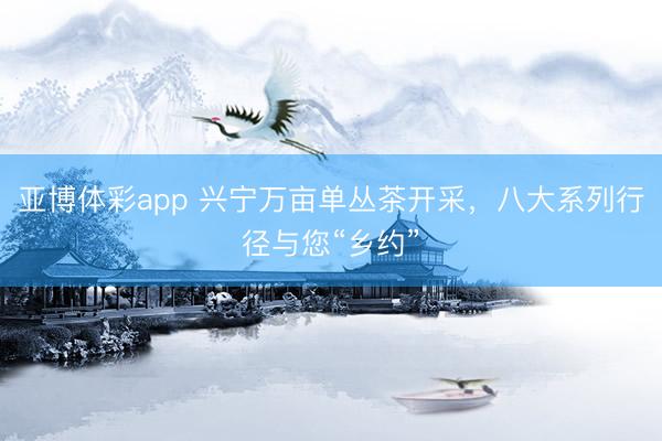 亚博体彩app 兴宁万亩单丛茶开采，八大系列行径与您“乡约”