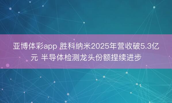 亚博体彩app 胜科纳米2025年营收破5.3亿元 半导体检测龙头份额捏续进步
