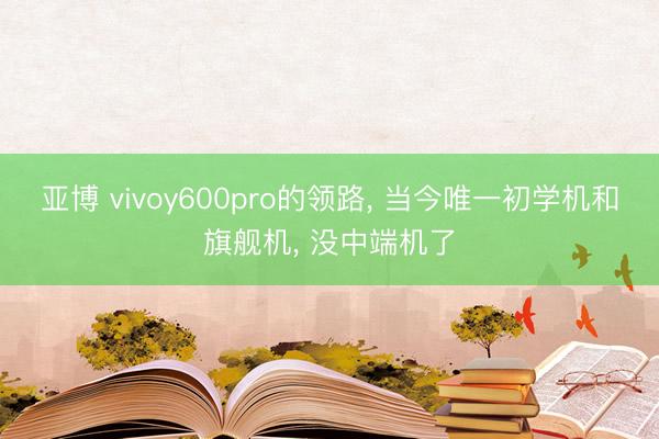 亚博 vivoy600pro的领路， 当今唯一初学机和旗舰机， 没中端机了